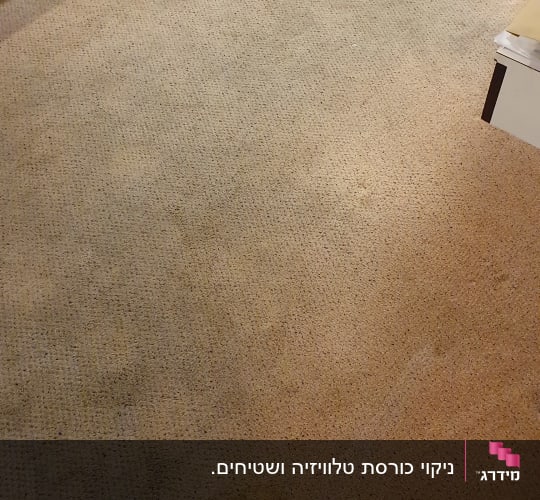 שטיח עם כתמים בחדר שינה